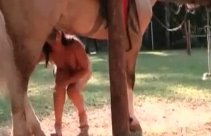 Impressive handjob action in bestiality sex action