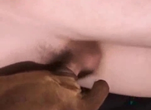 Man with a large cock is using his brown doggo