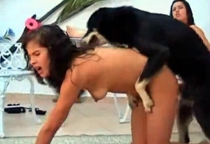 Woman gets pounded hard by an incredible doggie