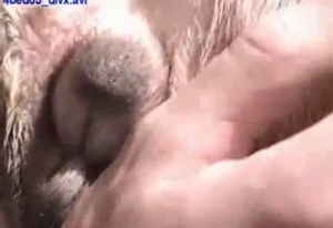 Lovely zoophile girl is having kinky fun with a doggie
