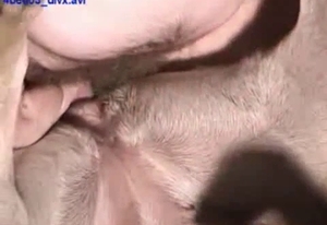 Lovely zoophile girl is having kinky fun with a doggie