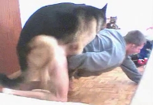 Intense dog is having his way with his kinky owner