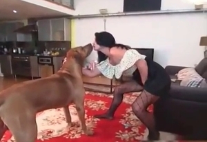 Amateur bestiality video with a zoophile and a brown dog