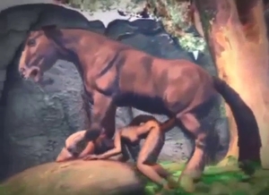 Elder Scrolls horse fucking with some POV footage