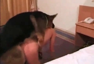 Insane doggy style bestiality action