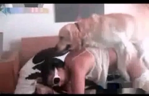 Shades-wearing slut in a zoo vid