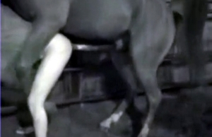 Dude gets destroyed by a horse
