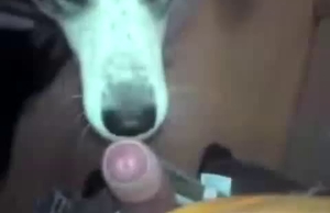 POV bestiality with an uncut cock