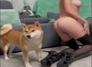 Stockings-wearing hottie gets fucked by dog