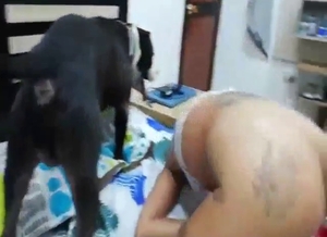 Babe from South America fucks her black dog
