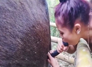 Zoo sex with an animal-loving Latina slut
