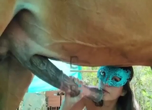 Zoo XXX with a horse getting sucked off hard