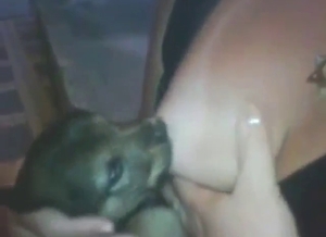 Zoo porn with a puppy that fucks by sucking