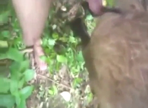 Horny creature in a zoo XXX banging video