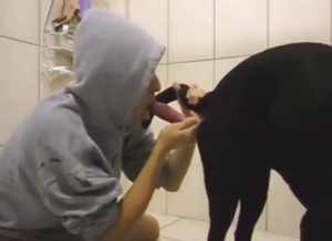 Grey hoodie dog cock sucker working hard