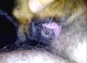 Muzzle and close-up fucking with a slutty beast