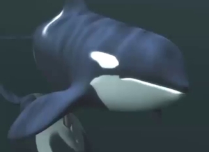 Orga gay fucking with moans and deep thrusts