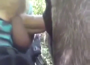 Mare fucking movie with a submissive beast