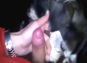 Nutting in dog's mouth is going to keep it happy