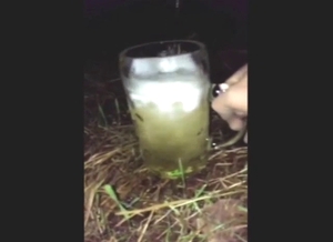 Dude chugging horse piss like it's beer, great