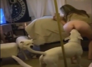 Twerking bitch has a dog licking her up an down